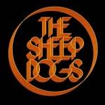 The Sheepdogs